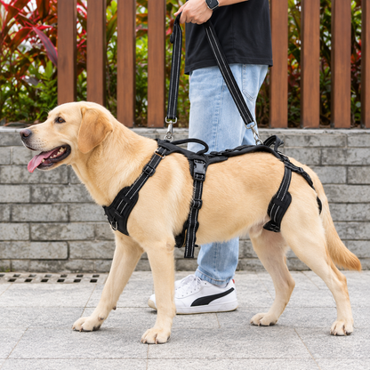 Comfort-Fit Dog Lift Harness – Rear & Front Support for Senior Dogs