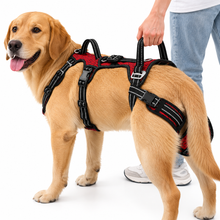 Comfort-Fit Dog Lift Harness – Rear & Front Support for Senior Dogs