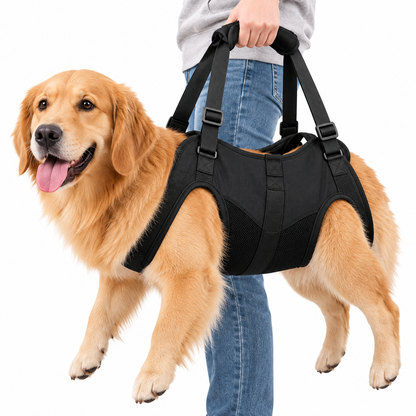 Dog Lift Support Harness – Full Body Mobility Sling for Injured & Senior Dogs