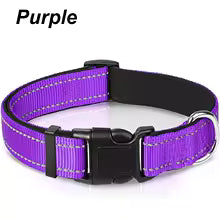 Reflective Dog Collar Neoprene Padded Nylon Collar for All Breeds