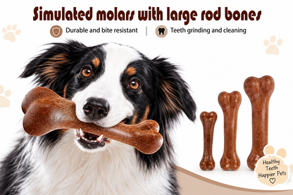 Beef Flavour Dog Chew Toy – Bite-Resistant Molar Bone for Teeth Cleaning