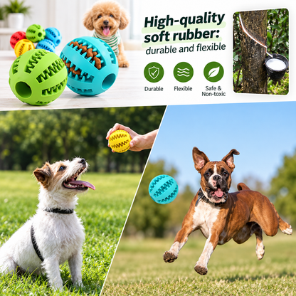 Dog Treat Ball – Interactive Chew & Teeth Cleaner