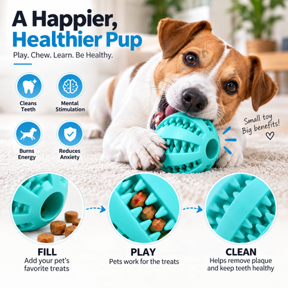 Dog Treat Ball – Interactive Chew & Teeth Cleaner
