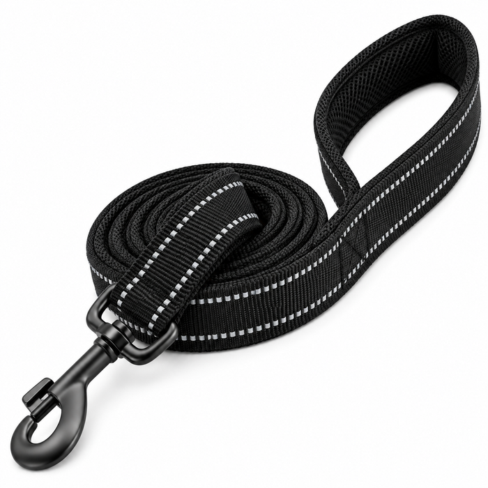reflective padded dog leash 200cm nylon with soft padded handle in royal blue size S – Pulse & Pawz