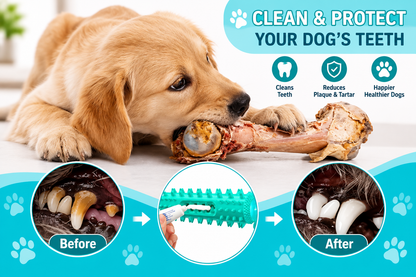 Dog Dental Chew Stick – Vet-Approved Teeth Cleaning Treat